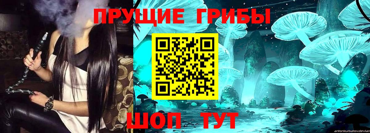 Галлюциногенные грибы Magic Shrooms  Вход с VPN  Комсомольск-на-Амуре 